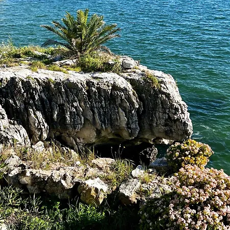 Apartment Ocean Dream Cascais