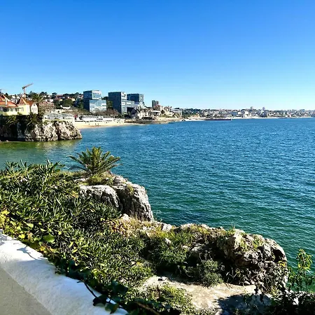 Flh De Sonho A Beira-mar