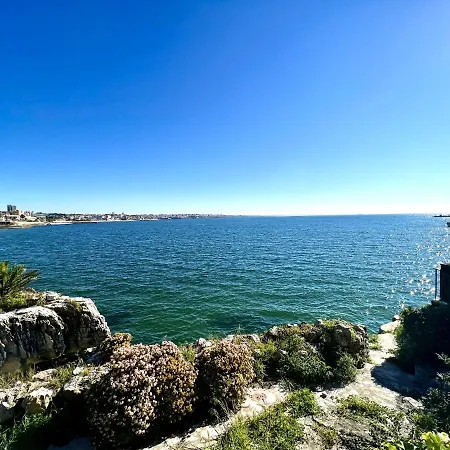 Flh De Sonho A Beira-mar *